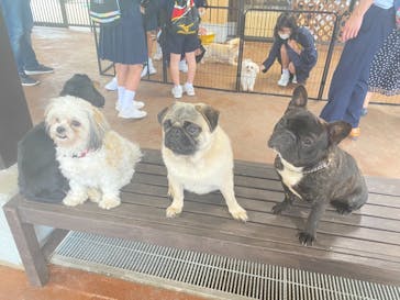 秋吉台自然動物公園 サファリランドに投稿された画像（2021/5/16）