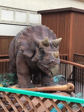 東京サマーランドに投稿された画像（2021/5/16）