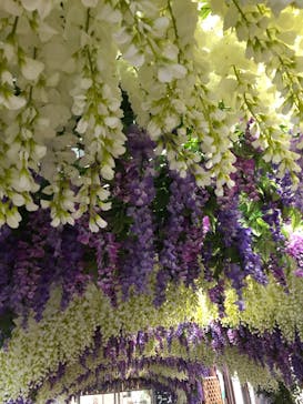 東京サマーランドに投稿された画像（2021/5/16）