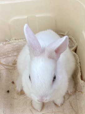 東武動物公園に投稿された画像（2021/5/16）