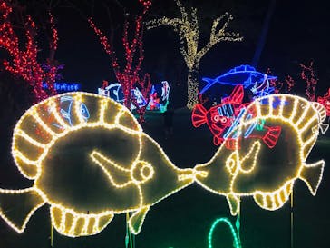 美らヤシパークオキナワ・東南植物楽園に投稿された画像（2021/5/16）