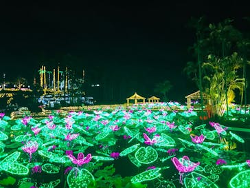 美らヤシパークオキナワ・東南植物楽園に投稿された画像（2021/5/16）