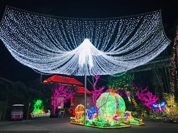 美らヤシパークオキナワ・東南植物楽園に投稿された画像（2021/5/16）