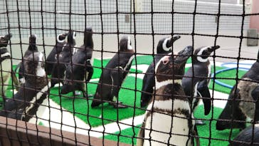 株式会社Gに投稿された画像（2021/5/16）