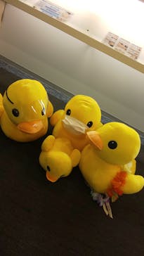 横浜天然温泉 SPA EASに投稿された画像（2021/5/16）