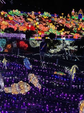 伊豆ぐらんぱる公園に投稿された画像（2021/5/16）