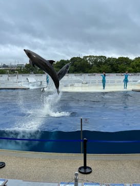 京都水族館に投稿された画像（2021/5/17）
