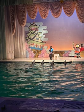 京急油壺マリンパークに投稿された画像（2021/5/17）