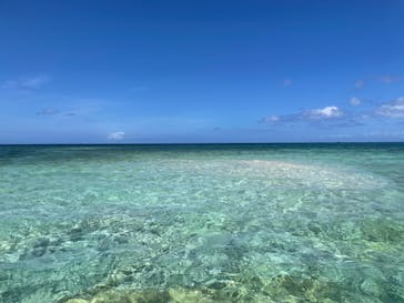 西表島 ADVENTURE PiPi（アドベンチャーピピ）に投稿された画像（2021/5/17）