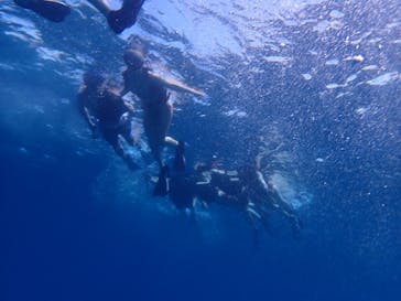 西表島 ADVENTURE PiPi（アドベンチャーピピ）に投稿された画像（2021/5/17）