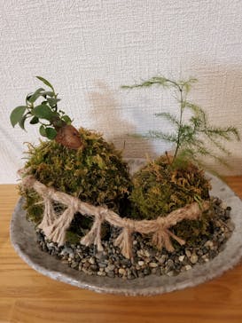 伊勢夫婦岩めおと横丁　めおと岩アクティビティに投稿された画像（2021/5/17）