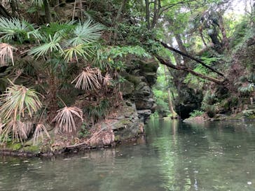 カヌーリゾートたまよどに投稿された画像（2021/5/17）