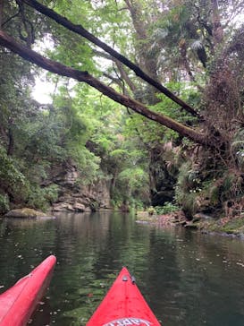 カヌーリゾートたまよどに投稿された画像（2021/5/17）