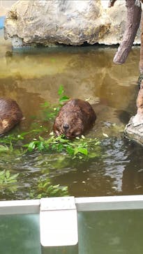 東武動物公園に投稿された画像（2021/5/17）