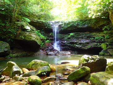 西表島 ADVENTURE PiPi（アドベンチャーピピ）に投稿された画像（2021/5/18）