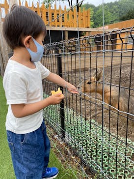 まかいの牧場に投稿された画像（2021/5/18）