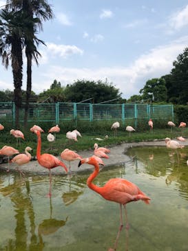 東武動物公園に投稿された画像（2021/5/18）