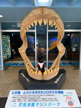 京急油壺マリンパークに投稿された画像（2021/5/19）