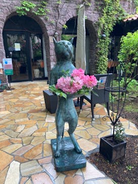 ロックハート城に投稿された画像（2021/5/19）