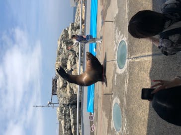 大分マリーンパレス水族館 「うみたまご」に投稿された画像（2021/5/19）