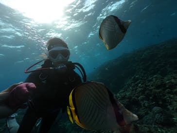 DIVING-SHOP SUNSに投稿された画像（2021/5/19）