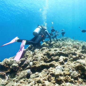 DIVING-SHOP SUNSに投稿された画像（2021/5/19）