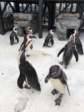 横浜・八景島シーパラダイスに投稿された画像（2021/5/19）
