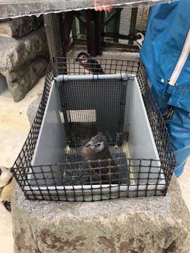 横浜・八景島シーパラダイスに投稿された画像（2021/5/19）