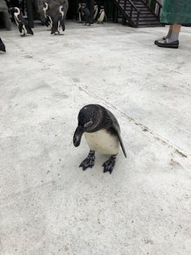 横浜・八景島シーパラダイスに投稿された画像（2021/5/19）
