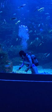 京都水族館に投稿された画像（2021/5/19）