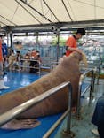 鳥羽水族館に投稿された画像（2021/5/20）