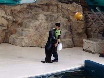 鳥羽水族館に投稿された画像（2021/5/20）