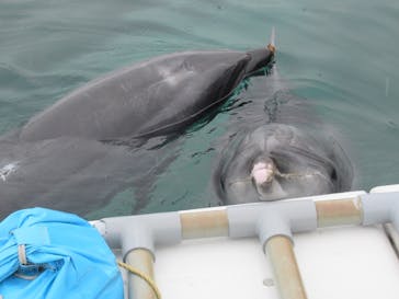 横浜・八景島シーパラダイスに投稿された画像（2021/5/20）