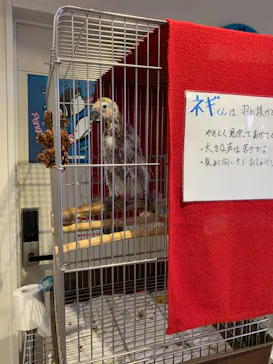 うみたま体験パーク 「つくみイルカ島」に投稿された画像（2021/5/21）