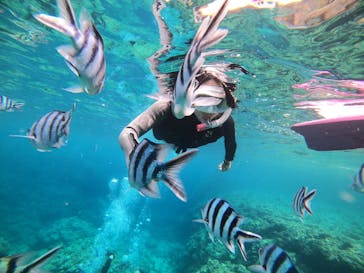 DIVING-SHOP SUNSに投稿された画像（2021/5/21）