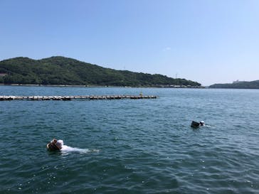 ミキモト真珠島に投稿された画像（2021/5/21）