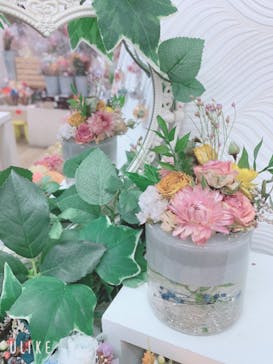 ずこうしつ〜sugamo〜に投稿された画像（2021/5/21）