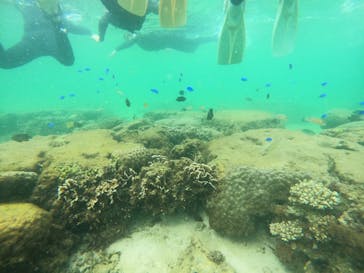 武藤潜水に投稿された画像（2021/5/21）