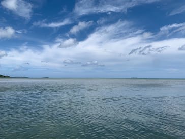 西表島 ADVENTURE PiPi（アドベンチャーピピ）に投稿された画像（2021/5/22）