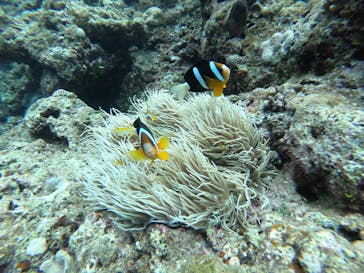 武藤潜水に投稿された画像（2021/5/22）