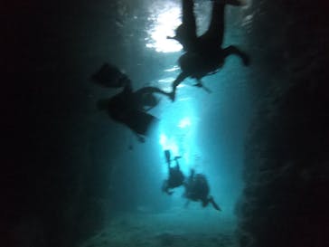 武藤潜水に投稿された画像（2021/5/22）