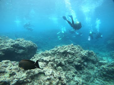 武藤潜水に投稿された画像（2021/5/22）