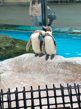 東武動物公園に投稿された画像（2021/5/22）