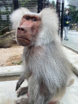 東武動物公園に投稿された画像（2021/5/22）