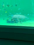 鳥羽水族館に投稿された画像（2021/5/22）