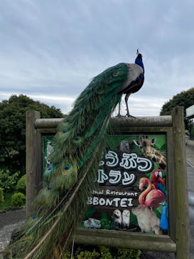 伊豆シャボテン動物公園に投稿された画像（2021/5/22）