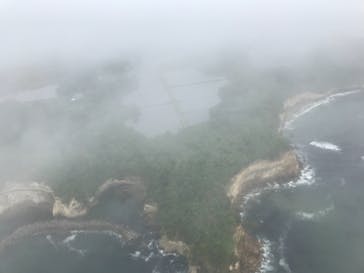 松島熱気球・パラグライダー体験に投稿された画像（2021/5/22）