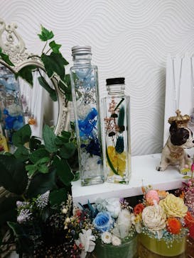 ずこうしつ〜sugamo〜に投稿された画像（2021/5/22）