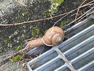 東京サマーランドに投稿された画像（2021/5/22）