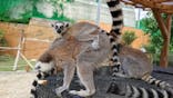しろとり動物園に投稿された画像（2021/5/22）